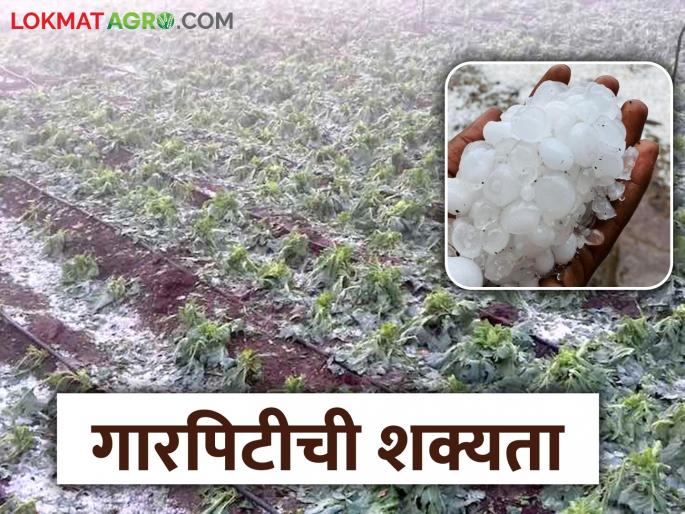 Thunderstorms and hail are likely in these areas of the state for the next two days | राज्यात पुढील दोन दिवस या भागात मेघगर्जनेसह पाऊस व गारपिटीची शक्यता