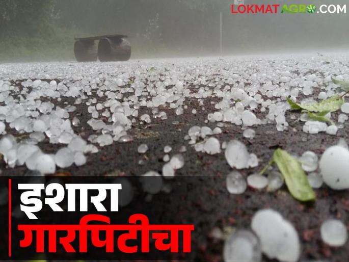 Maharashtra Weather Update : Severe weather warning with hailstorm unseasonal rain again in these places in the state for the next two days | Maharashtra Weather Update : राज्यात या ठिकाणी पुढील दोन दिवस पुन्हा गारपिटीसह अवकाळीचा इशारा Maharashtra Weather Update : Severe weather warning with hailstorm unseasonal rain again in these places in the state for the next two days | Maharashtra Weather Update : राज्यात या ठिकाणी पुढील दोन दिवस पुन्हा गारपिटीसह अवकाळीचा इशारा
