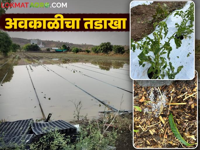 There was hailstorm with gale force winds for half an hour and all the crops were damaged | वादळी वाऱ्यासह अर्धा तास गारपीट झाली अन् सगळी पिकं पाण्याखाली गेली