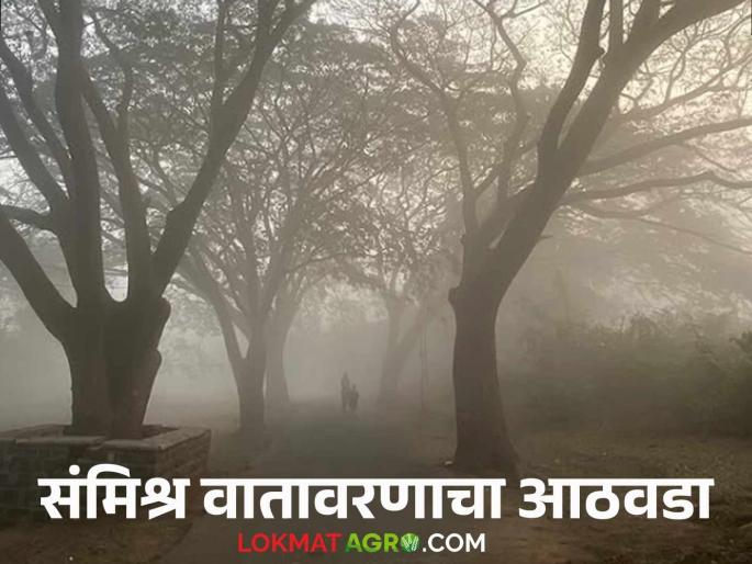 Latest News Maharashtra Weather Update Chance of rain, hail in 25 maharashtra districts, read details | Maharashtra Weather Update : 'या' जिल्ह्यांत पाऊस, गारपिटीची शक्यता, वाचा आठवड्यातील हवामान अंदाज Latest News Maharashtra Weather Update Chance of rain, hail in 25 maharashtra districts, read details | Maharashtra Weather Update : 'या' जिल्ह्यांत पाऊस, गारपिटीची शक्यता, वाचा आठवड्यातील हवामान अंदाज