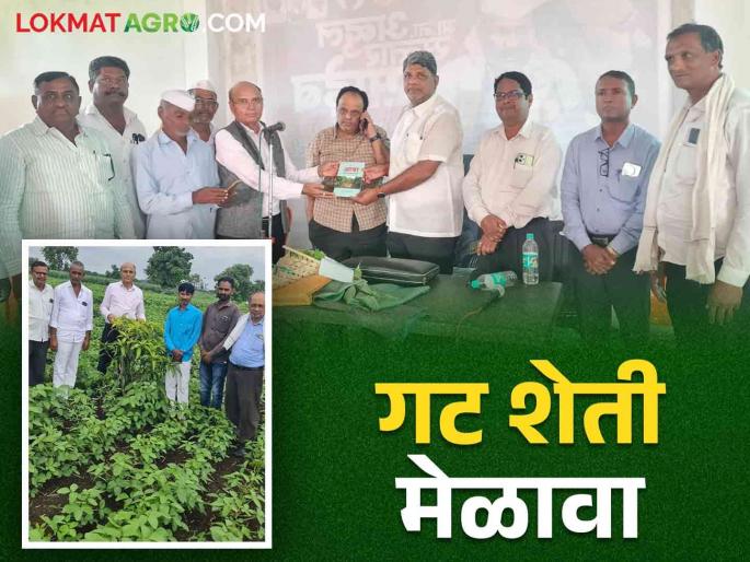 Farmers and orchardists should learn orchard techniques - Dr. B. M. Cotton | Orchard Technique : शेतकऱ्यांनी फळबाशेतकऱ्यांनी फळबाग तंत्र आत्मसात करावे -  डॉ. बी. एम. कापसे Farmers and orchardists should learn orchard techniques - Dr. B. M. Cotton | Orchard Technique : शेतकऱ्यांनी फळबाशेतकऱ्यांनी फळबाग तंत्र आत्मसात करावे -  डॉ. बी. एम. कापसे