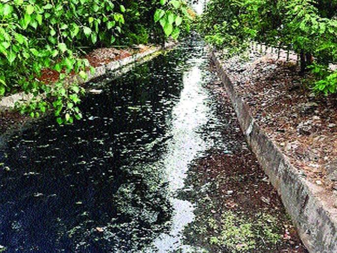 Risk of flood due to poor sanitation? | निकृष्ट नालेसफाईमुळे पुराचा धोका? Risk of flood due to poor sanitation? | निकृष्ट नालेसफाईमुळे पुराचा धोका?