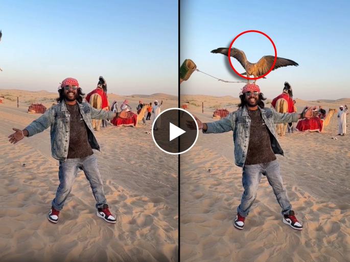 maharashtrachi hasyajatra fame actor gaurav more funny video in abu dhabi | अबू धाबीमध्ये फोटोसाठी पोझ देत होता गौरव, गरुड येऊन डोक्यावर बसला अन्...; पुढे काय झालं? पाहा व्हिडिओ maharashtrachi hasyajatra fame actor gaurav more funny video in abu dhabi | अबू धाबीमध्ये फोटोसाठी पोझ देत होता गौरव, गरुड येऊन डोक्यावर बसला अन्...; पुढे काय झालं? पाहा व्हिडिओ