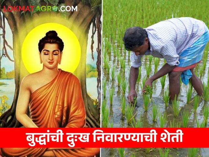 On Buddhapurnima, let's learn about Gautama Buddha's ideological Farming | बुद्धपोर्णिमेला जाणून घेऊया गौतम बुद्धांची वैचारिक शेती On Buddhapurnima, let's learn about Gautama Buddha's ideological Farming | बुद्धपोर्णिमेला जाणून घेऊया गौतम बुद्धांची वैचारिक शेती
