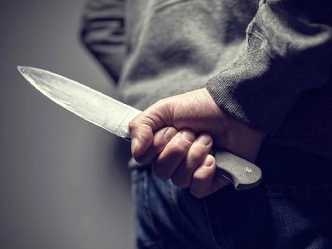 tadipar criminals terror in amravati; Pregnant cow stabbed to death, hotel employee attacked | तडीपाराचा मुक्त हैदोस; गर्भार गायीला भोसकून केले ठार, हॉटेल कर्मचाऱ्यावर प्राणघातक हल्ला tadipar criminals terror in amravati; Pregnant cow stabbed to death, hotel employee attacked | तडीपाराचा मुक्त हैदोस; गर्भार गायीला भोसकून केले ठार, हॉटेल कर्मचाऱ्यावर प्राणघातक हल्ला