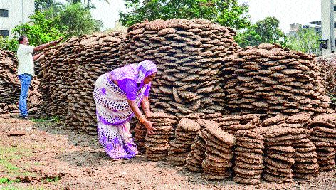 Customer demand: Online sale of Goa for Holi | ग्राहकांची मागणी : होळीसाठी गोव-यांची आॅनलाइन विक्री Customer demand: Online sale of Goa for Holi | ग्राहकांची मागणी : होळीसाठी गोव-यांची आॅनलाइन विक्री