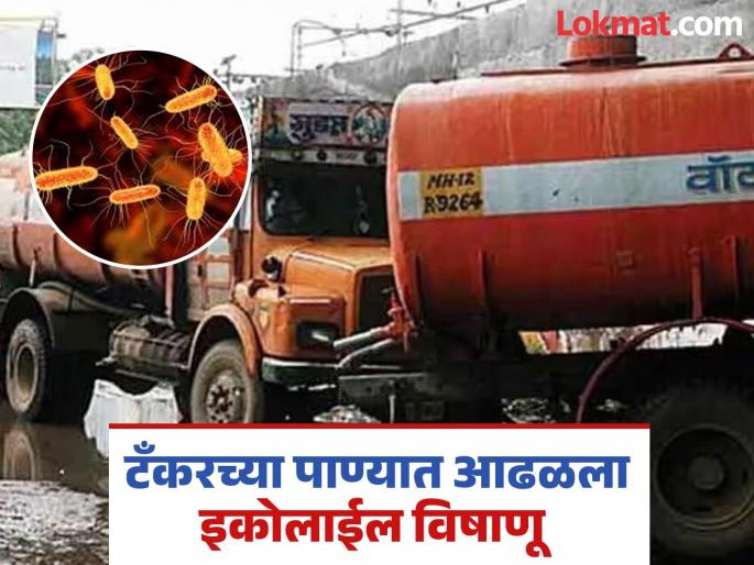 Deadly virus in water in Pune Eco-Lyle found in a tanker, strict action by the Municipal Corporation | पाण्यात जीवघेणा विषाणू..! एका टँकरमध्ये सापडला इकोलाईल, महापालिकेची कडक कारवाई Deadly virus in water in Pune Eco-Lyle found in a tanker, strict action by the Municipal Corporation | पाण्यात जीवघेणा विषाणू..! एका टँकरमध्ये सापडला इकोलाईल, महापालिकेची कडक कारवाई