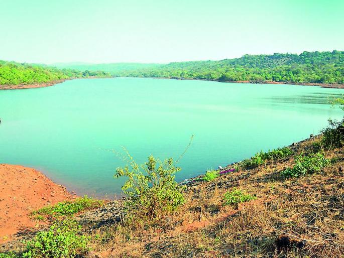 young man drowned in the Sheel dam after falling into the water | पाय घसरून पाण्यात पडल्याने शीळ धरणात तरुण बुडाला