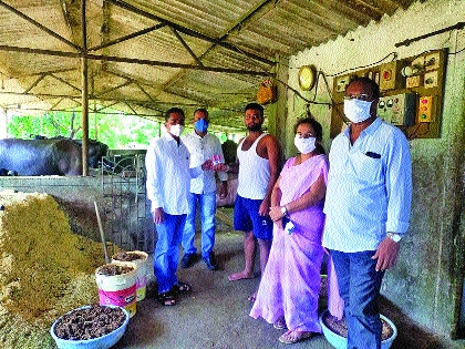 The Animal Husbandry Department rushed to eradicate Gochid | गोचीड निर्मूलनासाठी पशू विभाग सरसावला The Animal Husbandry Department rushed to eradicate Gochid | गोचीड निर्मूलनासाठी पशू विभाग सरसावला