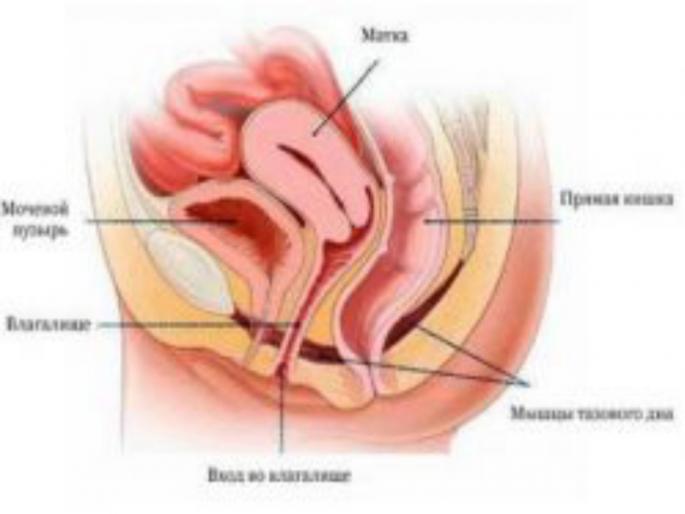 Third consecutive surgery in the country of uterine transplant successfully succeeded in Pune | गर्भाशय प्रत्यारोपणाची देशातील सलग तिसरी शस्त्रक्रिया पुण्यात यशस्वी Third consecutive surgery in the country of uterine transplant successfully succeeded in Pune | गर्भाशय प्रत्यारोपणाची देशातील सलग तिसरी शस्त्रक्रिया पुण्यात यशस्वी