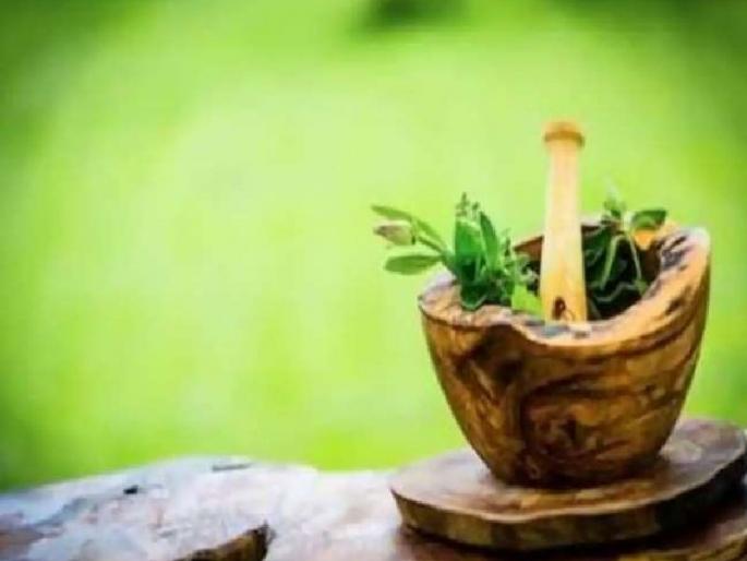 Take basil, paneer flowers effective for diabetes | कोरोनानंतर मधुमेहाने त्रस्त आहात? तुळशीचे पान अन् पनीर फूल घ्या Take basil, paneer flowers effective for diabetes | कोरोनानंतर मधुमेहाने त्रस्त आहात? तुळशीचे पान अन् पनीर फूल घ्या