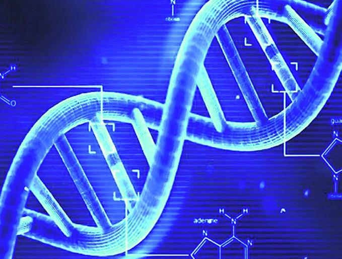 Shuffling the genetic structure of two human embryos designed by artificial insemination | कृत्रिम रेतन पद्धतीने तयार केलेल्या दोन मानवी भ्रूणांच्या जनुकीय संरचनेत फेरबदल Shuffling the genetic structure of two human embryos designed by artificial insemination | कृत्रिम रेतन पद्धतीने तयार केलेल्या दोन मानवी भ्रूणांच्या जनुकीय संरचनेत फेरबदल