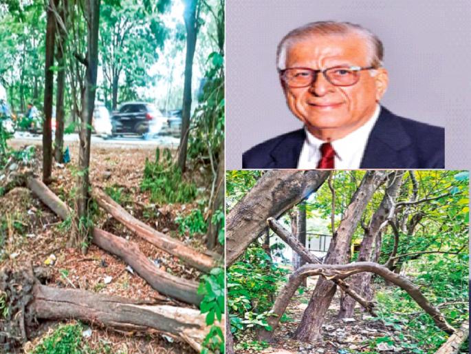 A case has been filed against a Gera builder in Pune by the police for killing trees by hiding in the middle of the night | मध्यरात्री लपून झाडांची कत्तल केल्याप्रकरणी पाेलिसांकडून पुण्यातील गेरा बिल्डरवर गुन्हा A case has been filed against a Gera builder in Pune by the police for killing trees by hiding in the middle of the night | मध्यरात्री लपून झाडांची कत्तल केल्याप्रकरणी पाेलिसांकडून पुण्यातील गेरा बिल्डरवर गुन्हा