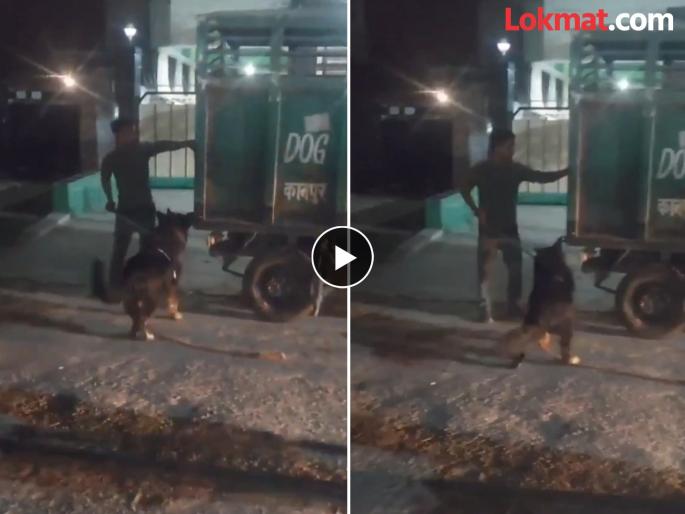 Kanpur German Shepherd dog killed its elderly mistress scratched her in several places | चेहरा, गळा, पोट अन्...; जर्मन शेफर्डचा महिलेवर हल्ला, मृतदेहाजवळ कुटुंबियसुद्धा गेले नाहीत Kanpur German Shepherd dog killed its elderly mistress scratched her in several places | चेहरा, गळा, पोट अन्...; जर्मन शेफर्डचा महिलेवर हल्ला, मृतदेहाजवळ कुटुंबियसुद्धा गेले नाहीत