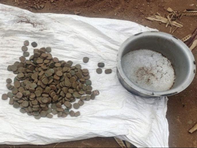 404 copper coins found in excavations | खोदकामात मिळाली तांब्याची 404 नाणी
