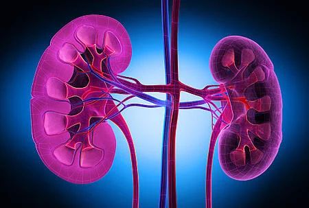 The highest number of patients with kidney disease in the foothills of Satpuda | सातपुड्याच्या पायथ्यातील गावात मूत्रपिंड विकाराचे सर्वाधिक रुग्ण The highest number of patients with kidney disease in the foothills of Satpuda | सातपुड्याच्या पायथ्यातील गावात मूत्रपिंड विकाराचे सर्वाधिक रुग्ण