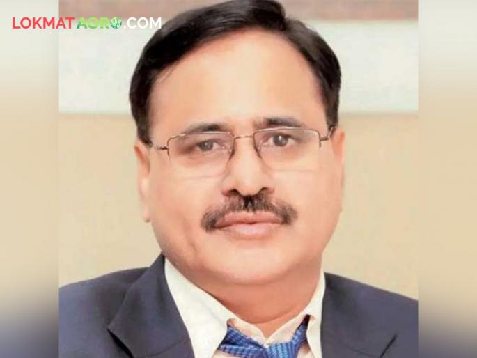 Former Cooperation Commissioner Anil Kawade appointed as Sugar Commissioner chandrakant pulkundwar | माजी सहकार आयुक्त अनिल कवडे यांची साखर आयुक्तपदी नियुक्ती Former Cooperation Commissioner Anil Kawade appointed as Sugar Commissioner chandrakant pulkundwar | माजी सहकार आयुक्त अनिल कवडे यांची साखर आयुक्तपदी नियुक्ती