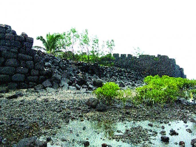 Young Mavals rushed for Colaba fort | कुलाबा किल्ल्यासाठी तरुण मावळे सरसावले Young Mavals rushed for Colaba fort | कुलाबा किल्ल्यासाठी तरुण मावळे सरसावले