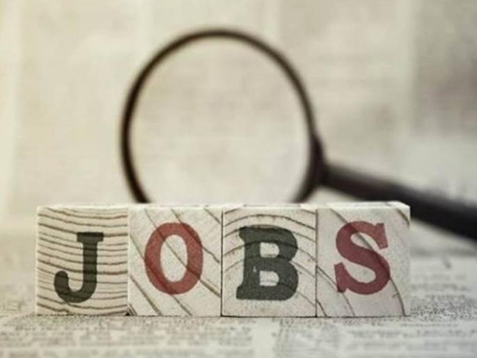 No exams, just an interview and a government job in India Seeds Recruitment 2020 | परीक्षा नाही, केवळ एक मुलाखत अन् सरकारी नोकरी; 43000 रुपये पगार No exams, just an interview and a government job in India Seeds Recruitment 2020 | परीक्षा नाही, केवळ एक मुलाखत अन् सरकारी नोकरी; 43000 रुपये पगार