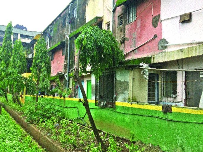 Encroachment on the walls of the garden; Residents dump the location of the debris | उद्यानाच्या भिंतीवर अतिक्रमण; रहिवाशांनी मलवाहिन्यांची जागा हडपली Encroachment on the walls of the garden; Residents dump the location of the debris | उद्यानाच्या भिंतीवर अतिक्रमण; रहिवाशांनी मलवाहिन्यांची जागा हडपली