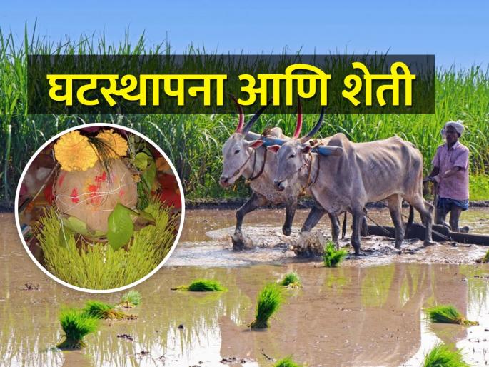 A unique technique of agriculture is hidden behind Ghatsthana! | घटस्थापनेमागे लपलंय शेतीचं अनोखं तंत्र! A unique technique of agriculture is hidden behind Ghatsthana! | घटस्थापनेमागे लपलंय शेतीचं अनोखं तंत्र!