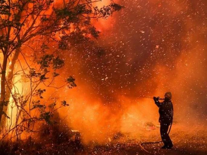 Greece wildfires: Wildfires rampage in Greek forests; lakhs of people homeless | Greece wildfires: ग्रीसमध्ये अग्नितांडव! जंगलांमधील आग समुद्रापर्यंत पोहोचली; वन्यप्राणी, लोक झाले बेघर Greece wildfires: Wildfires rampage in Greek forests; lakhs of people homeless | Greece wildfires: ग्रीसमध्ये अग्नितांडव! जंगलांमधील आग समुद्रापर्यंत पोहोचली; वन्यप्राणी, लोक झाले बेघर