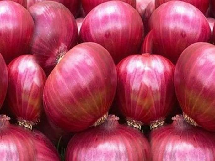162 containers of stranded onions shipped abroad | अडकलेले कांद्याचे १६२ कंटेनर परदेशात रवाना 162 containers of stranded onions shipped abroad | अडकलेले कांद्याचे १६२ कंटेनर परदेशात रवाना