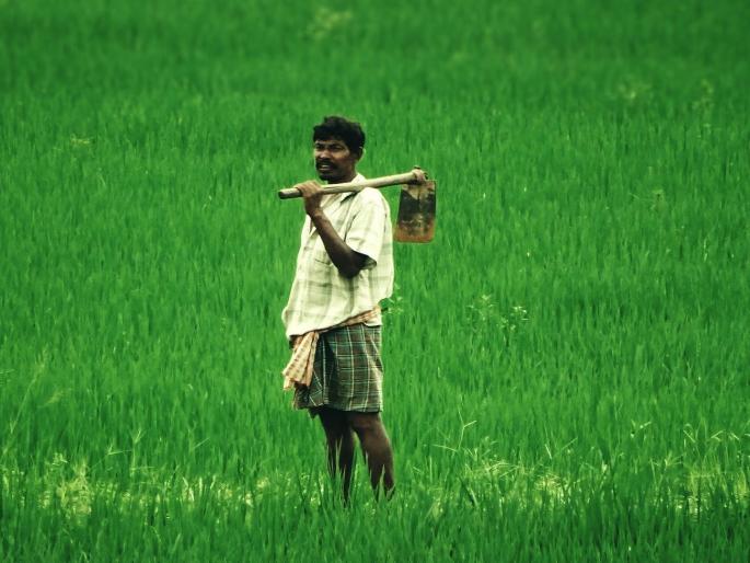 Payment of agricultural produce to farmers in 3 days | शेतकऱ्यांना ३ दिवसांत शेतमालाची रक्कम Payment of agricultural produce to farmers in 3 days | शेतकऱ्यांना ३ दिवसांत शेतमालाची रक्कम