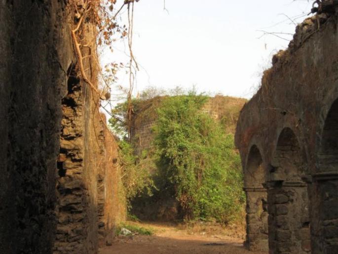 For the first time, the festival was organized to light the historical heritage of Ghodbunder Fort | घोडबंदर किल्ल्याच्या ऐतिहासिक वारशाला उजाळा देण्यासाठी पहिल्यांदाच महोत्सवाचे आयोजन