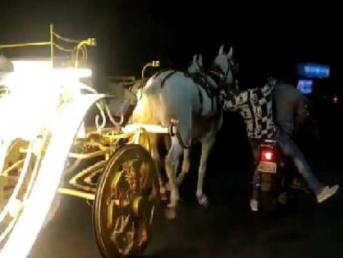 Video : The horseman and the horse were also injured while controlling the overturned buggy | Video : उधळलेली बग्गी नियंत्रित करताना घोडामालक अन् घोडाही जखमी Video : The horseman and the horse were also injured while controlling the overturned buggy | Video : उधळलेली बग्गी नियंत्रित करताना घोडामालक अन् घोडाही जखमी