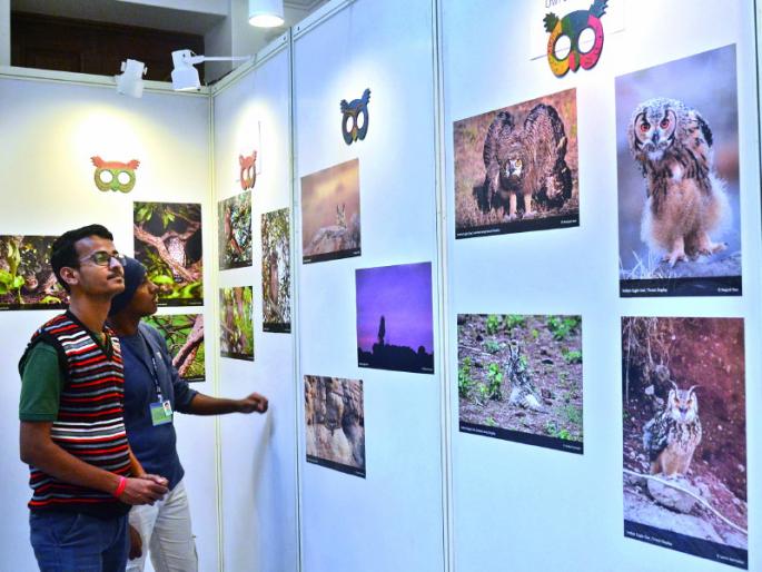 The superstition about the owls should be removed: Dr. James Duncan | घुबडांबाबतची अंधश्रद्धा दूर व्हायला हवी : पक्षितज्ज्ञ डॉ. जेम्स डंकन The superstition about the owls should be removed: Dr. James Duncan | घुबडांबाबतची अंधश्रद्धा दूर व्हायला हवी : पक्षितज्ज्ञ डॉ. जेम्स डंकन