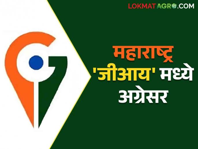 GI Tag: Maharashtra state ranks first in the country in terms of geographical classification of agricultural products | GI Tag: कृषी उत्पादनांच्या भौगोलिक मानांकनात महाराष्ट्र राज्य देशात प्रथम क्रमांकावर