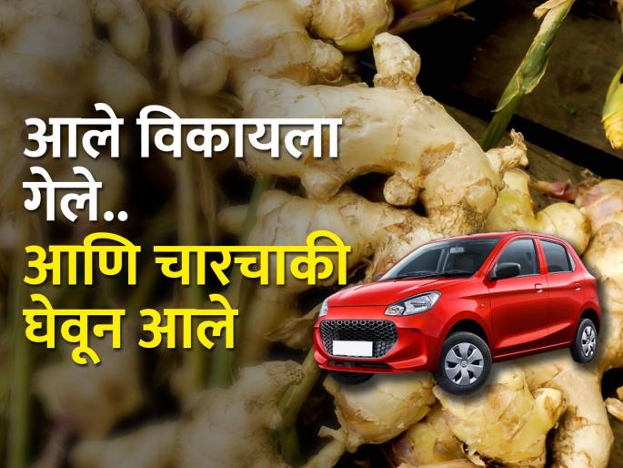 sale the ginger in market and get Big brother ride a new four wheeler! | आले पिकाची किमया न्यारी.. मोठ्या भावाला चारचाकीची सवारी! sale the ginger in market and get Big brother ride a new four wheeler! | आले पिकाची किमया न्यारी.. मोठ्या भावाला चारचाकीची सवारी!