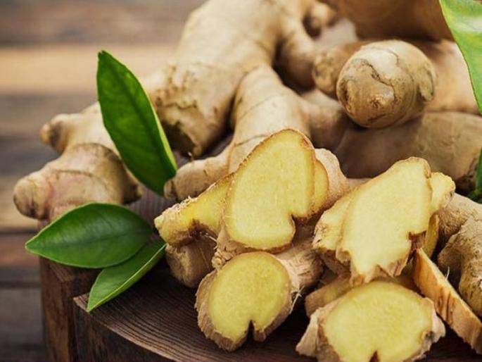 Ginger gets 6 thousand rupees rate in the Jalana market | जालना बाजारपेठेत अद्रकाला ६ हजारांचा भाव Ginger gets 6 thousand rupees rate in the Jalana market | जालना बाजारपेठेत अद्रकाला ६ हजारांचा भाव