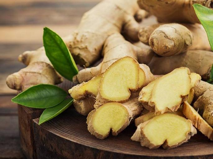 Eat ginger; But be secure - the advice of scientists from Dr. panjabrao deshmukh agriculture university | अद्रक खा; पण कापून अन् जपूनच! कृषी विद्यापीठाच्या शास्त्रज्ञांचा सल्ला
