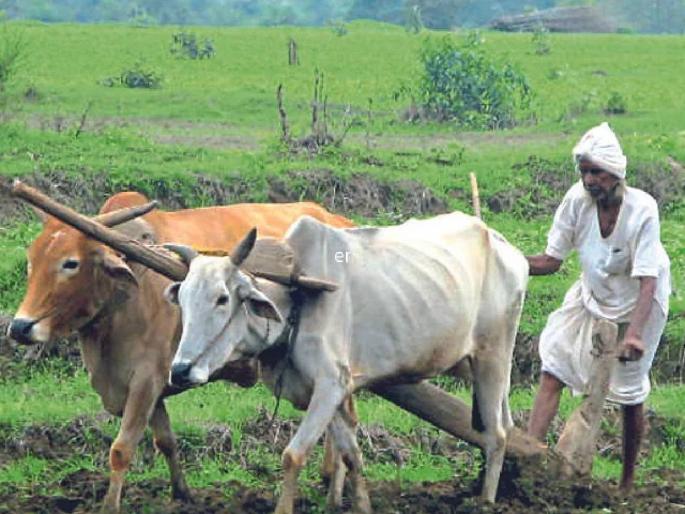 Instructions for planning water conservation works in order to benefit the farmers | शेतकऱ्यांना फायदा व्हावा या दृष्टीने जलसंधारण कामांचे नियोजन करण्याचे निर्देश Instructions for planning water conservation works in order to benefit the farmers | शेतकऱ्यांना फायदा व्हावा या दृष्टीने जलसंधारण कामांचे नियोजन करण्याचे निर्देश