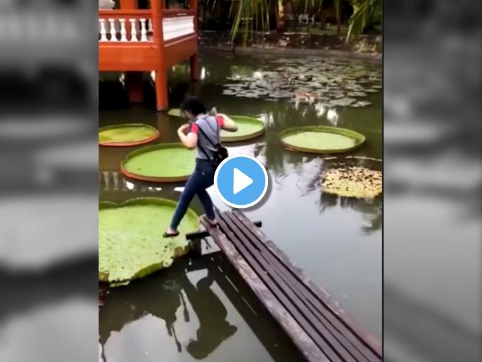 viral video on social media girl fell into the water due to her own mistake | Viral Video: तलाव पार करण्यासाठी तरूणीने तराफा समजून पाय पुढे टाकला अन् झाली फजिती; व्हिडीओ पाहून तुम्हाला आवरणार नाही हसू viral video on social media girl fell into the water due to her own mistake | Viral Video: तलाव पार करण्यासाठी तरूणीने तराफा समजून पाय पुढे टाकला अन् झाली फजिती; व्हिडीओ पाहून तुम्हाला आवरणार नाही हसू