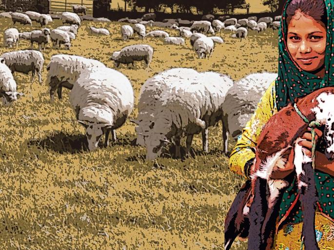 For the prevention of farmer suicides.. | तत्त्वज्ञ For the prevention of farmer suicides.. | तत्त्वज्ञ