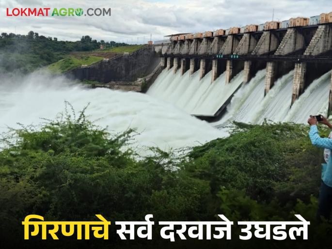 Latest News Girna dam water release first time in 56-year history, all gates of Girna Dam opened, read in detail | Girna Dam : 56 वर्षांच्या इतिहासात पहिल्यांदा गिरणा धरणाचे सर्व दरवाजे उघडले, वाचा सविस्तर 