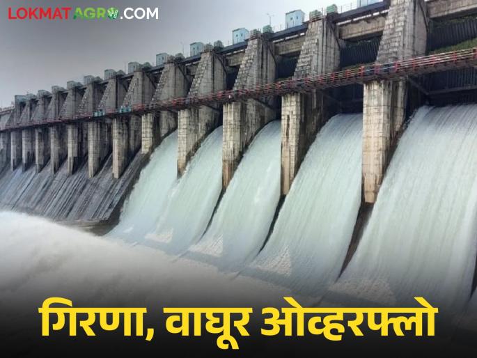 Latest news Girna, Waghur overflow, 75 thousand hectares of agriculture will get water | गिरणा, वाघूर ओव्हरफ्लो, जळगाव जिल्ह्यात पुढील पाच दिवस पाऊस कसा राहील?