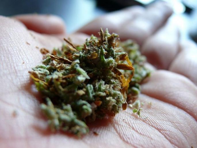 One lakh rupees of Ganja seized in Fatwadi, one arrested in Goa | गोव्यातील फातोर्ड्यात एक लाखांचा गांजा जप्त, एकास अटक One lakh rupees of Ganja seized in Fatwadi, one arrested in Goa | गोव्यातील फातोर्ड्यात एक लाखांचा गांजा जप्त, एकास अटक