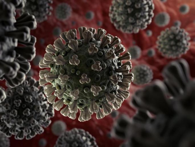 CoronVirus Vijayanagar area in Sangli sealed because of Corona patient found | सांगलीतील विजयनगर परिसर सील कोरोना रूग्ण आढळल्याने खबरदारी CoronVirus Vijayanagar area in Sangli sealed because of Corona patient found | सांगलीतील विजयनगर परिसर सील कोरोना रूग्ण आढळल्याने खबरदारी