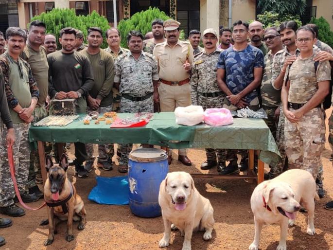 Explosives planted by Naxals seized from Umarpayali Ambezari forest | उमरपायली आंबेझरी जंगलातून नक्षलवाद्यांनी पेरलेले स्फोटके जप्त Explosives planted by Naxals seized from Umarpayali Ambezari forest | उमरपायली आंबेझरी जंगलातून नक्षलवाद्यांनी पेरलेले स्फोटके जप्त