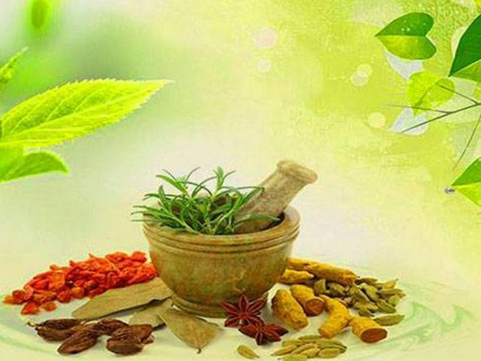 Ayurveda project in Sindhudurg instead of Latur | आयुर्वेद प्रकल्प लातूर ऐवजी सिंधुदुर्गात Ayurveda project in Sindhudurg instead of Latur | आयुर्वेद प्रकल्प लातूर ऐवजी सिंधुदुर्गात