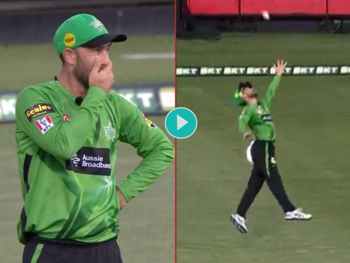 BBL : What a marvelous catch by Glenn Maxwell. Even he couldn't believe that, Watch Video | Glenn Maxwell's one-handed catch : ग्लेन मॅक्सवेलनं घेतला कसला भारी कॅच; स्वतःलाही बसला नाही विश्वास, Video