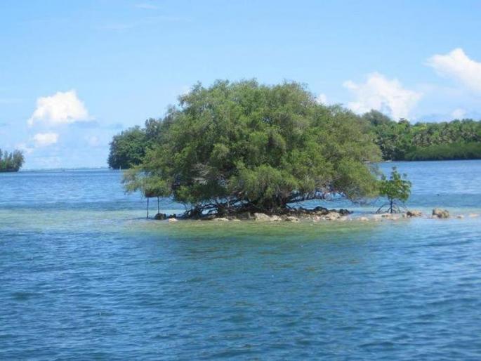 Were the return ropes cut off from global warming? | ग्लोबल वॉर्मिंगपासून परतीचे दोर कापले गेलेत का? Were the return ropes cut off from global warming? | ग्लोबल वॉर्मिंगपासून परतीचे दोर कापले गेलेत का?