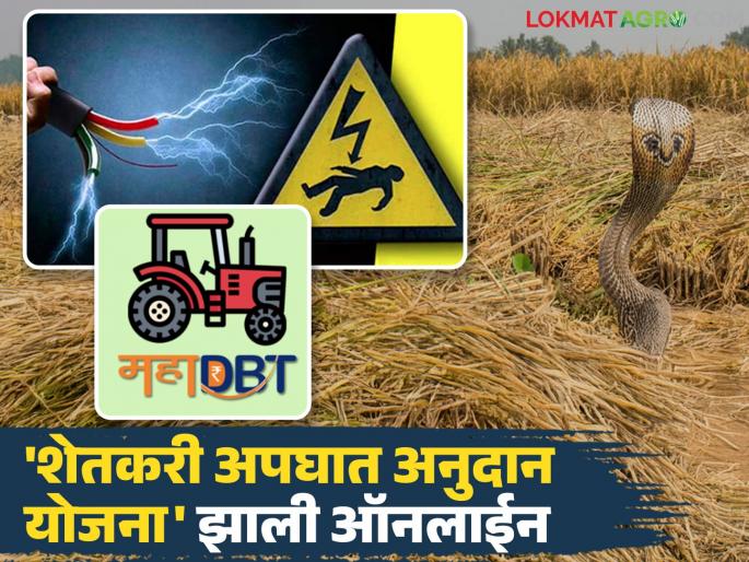 This is an important change in Gopinath Munde Farmer Accident Safety Sanugraha Yojana; Now benefits will be available immediately | गोपीनाथ मुंडे शेतकरी अपघात सुरक्षा सानुग्रह योजनेत 'हा' महत्वपूर्ण बदल; आता लाभ लगेच मिळणार This is an important change in Gopinath Munde Farmer Accident Safety Sanugraha Yojana; Now benefits will be available immediately | गोपीनाथ मुंडे शेतकरी अपघात सुरक्षा सानुग्रह योजनेत 'हा' महत्वपूर्ण बदल; आता लाभ लगेच मिळणार