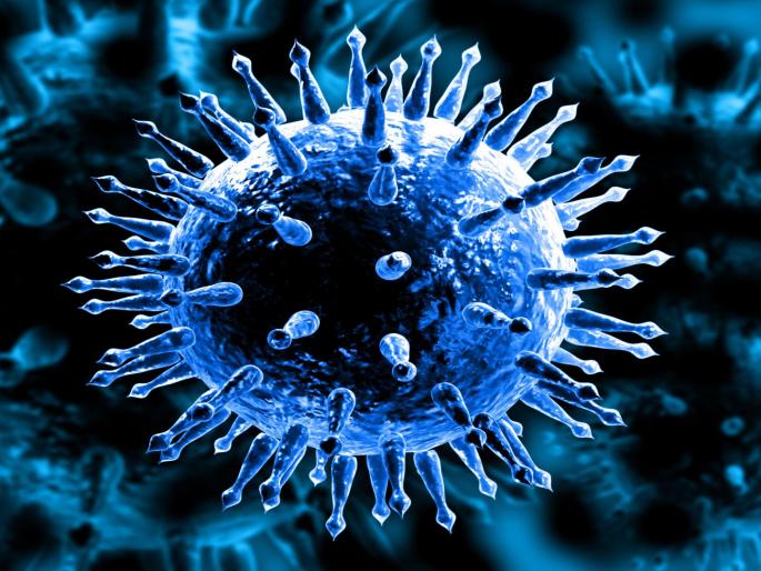 CoronaVirus Virar Nalasopara's 11 corona positive in municipal limits | CoronaVirus विरार नालासोपाऱ्याची चिंता वाढली; पालिका हद्दीत 11 कोरोना पॉझिटिव्ह CoronaVirus Virar Nalasopara's 11 corona positive in municipal limits | CoronaVirus विरार नालासोपाऱ्याची चिंता वाढली; पालिका हद्दीत 11 कोरोना पॉझिटिव्ह