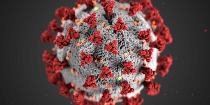 Corona virus in Nagpur: The number of active patients in Nagpur decreased, 81 new cases in 24 hours | CoronaVirus in Nagpur : नागपुरात सक्रिय रुग्णांची संख्या घटली, २४ तासात ८१ नवे बाधित