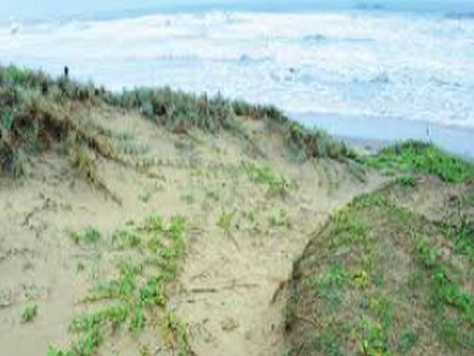 Govt committed to finding solution to CRZ issue: Nilesh Cabral | ड्रोनद्वारे वाळूच्या पट्ट्यांची पाहणी करू - काब्राल Govt committed to finding solution to CRZ issue: Nilesh Cabral | ड्रोनद्वारे वाळूच्या पट्ट्यांची पाहणी करू - काब्राल